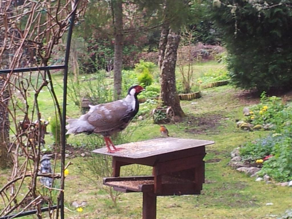 Kettle House B&B Fort Augustus Exterior foto